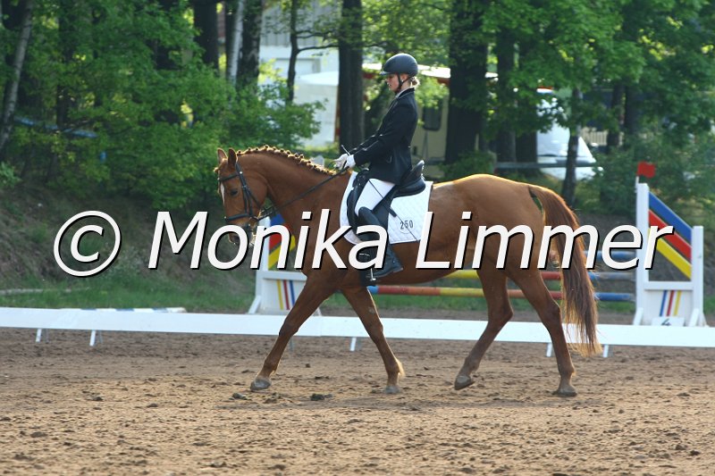 104M5040_Vanille_Dressur E.JPG